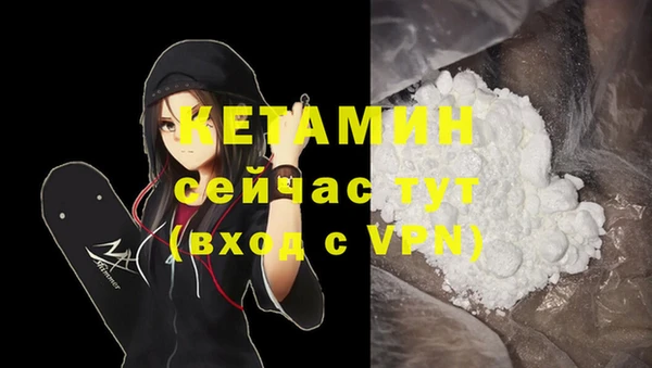 a pvp Гатчина