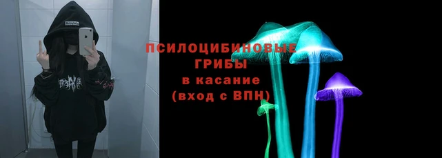 прущая мука Медвежьегорск