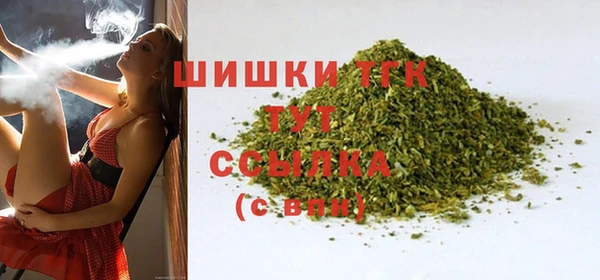 ГАЛЛЮЦИНОГЕННЫЕ ГРИБЫ Михайлов