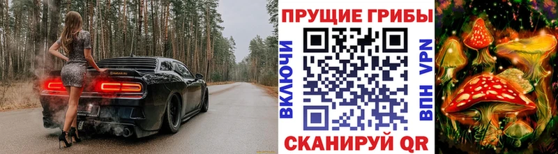 Псилоцибиновые грибы Psilocybe  даркнет Telegram  Мглин  mega маркетплейс 